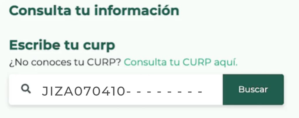 Consulta en el buscador de estatus
